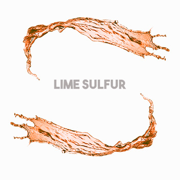 Polisulfuro Tiosulfato de Calcio SNH3